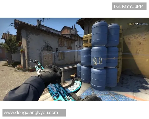 探索黄静的CSGO人生：从新手到职业选手的成长之路