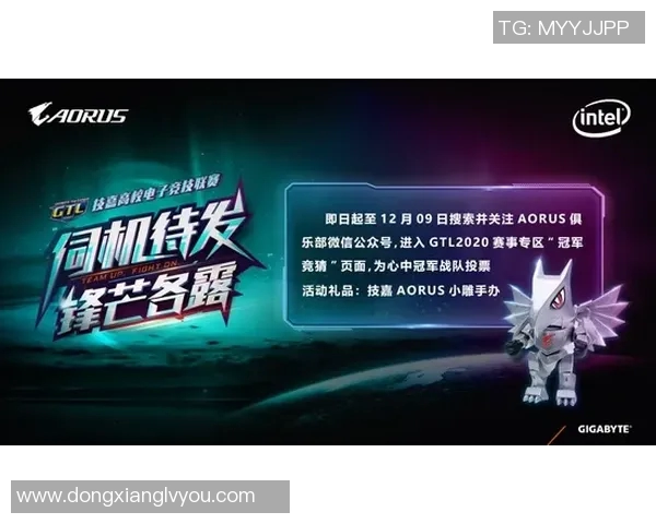 高校联赛特别报道：WE战队的拼搏历程与荣耀时刻回顾