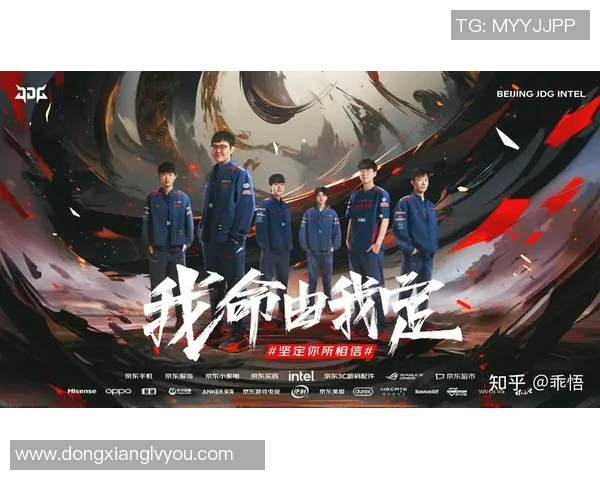 深入分析JDG战队阵地战策略与战术执行的成功之道