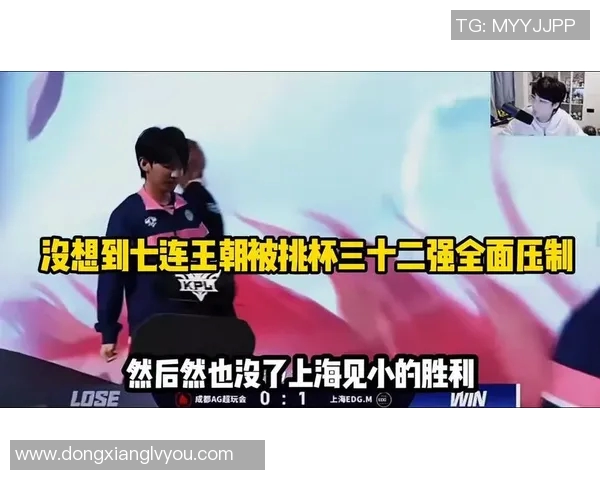 EDG耐力争议引发热议王者荣耀职业赛场的竞技精神与公平性探讨