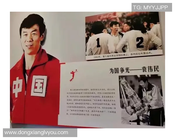南京排球队的奋斗与荣耀：一段不平凡的排球纪实之旅